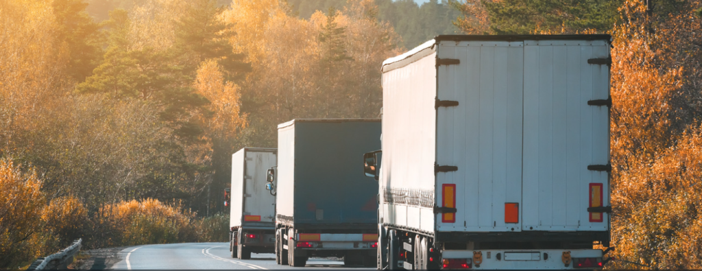 Freight Transport Services