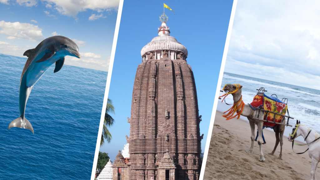 Affordable vacation options in Puri